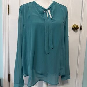 Ann Taylor teal long sleeve blouse